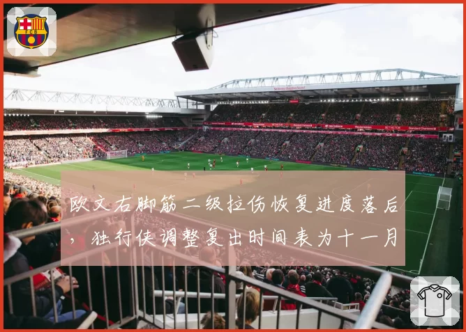 欧文右脚筋二级拉伤恢复进度落后,独行侠调整复出时间表为十一月下旬