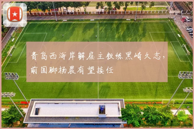 青岛西海岸解雇主教练黑崎久志,前国脚杨晨有望接任
