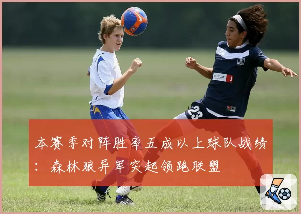 本赛季对阵胜率五成以上球队战绩：森林狼异军突起领跑联盟